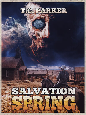 cover image of Salvation Spring